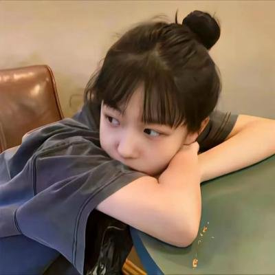 《拦截火狐狸》封面